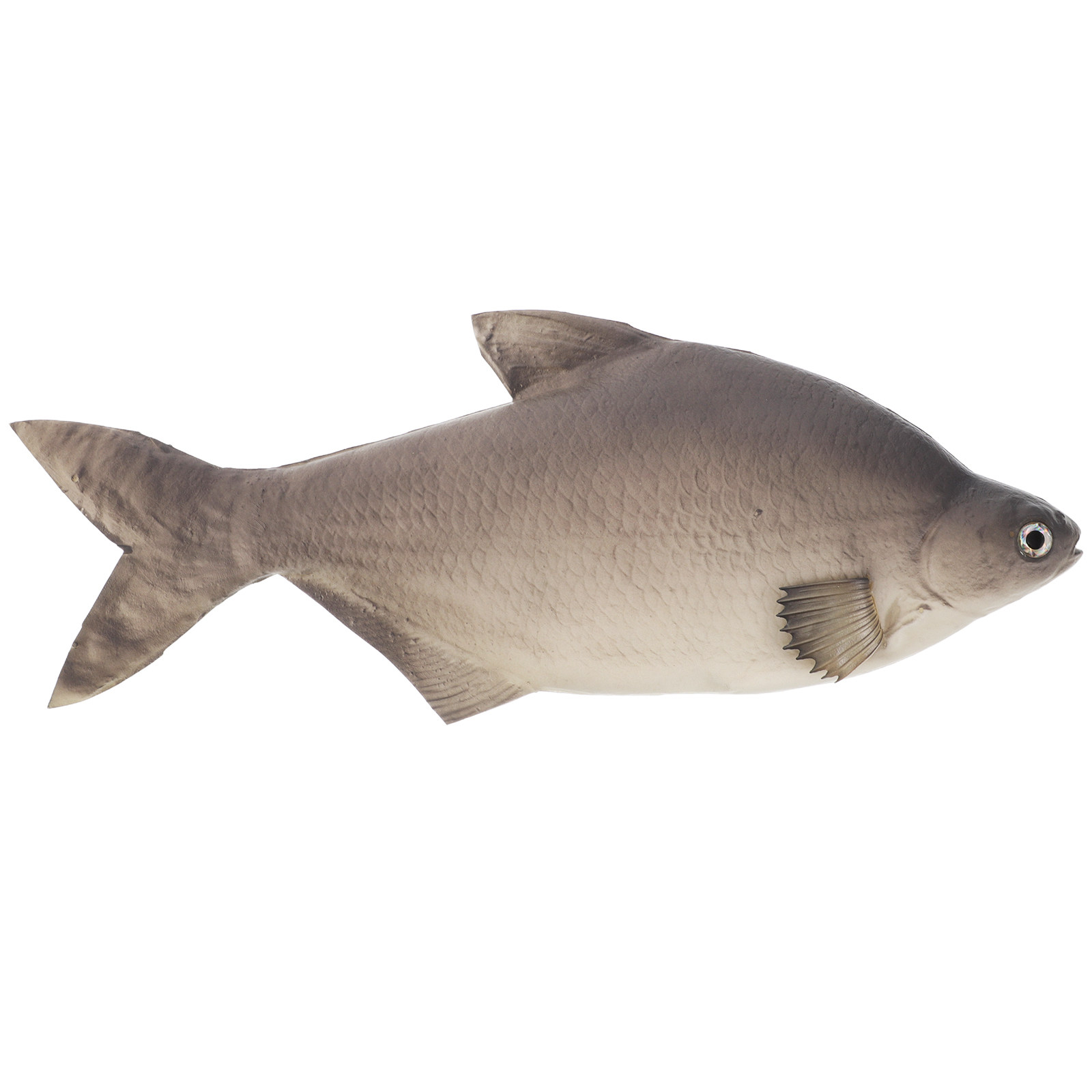 Aquarium Fish Market - 詳細なPU製模擬魚、リアルな装飾品、水槽、猫の遊び場、家庭用、展示用、教育教材、写真撮影用小道具