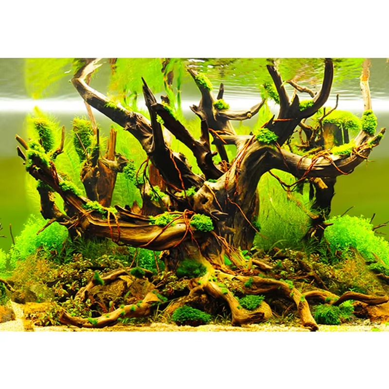 Aquarium Fish Wallpaper - 50cm水槽装飾防水厚手背景両面魚タンク壁紙