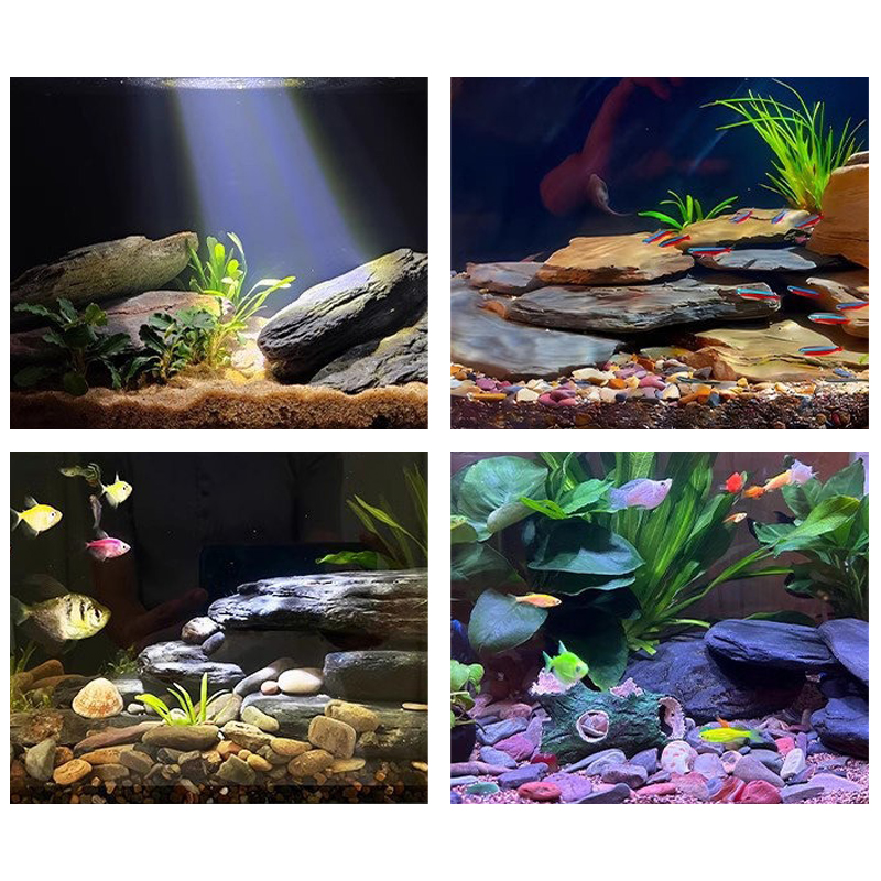 500/1000 グラム水槽造園石キットスレート岩石テラリウ - Aquarium Fish Guppy のレビューと価格