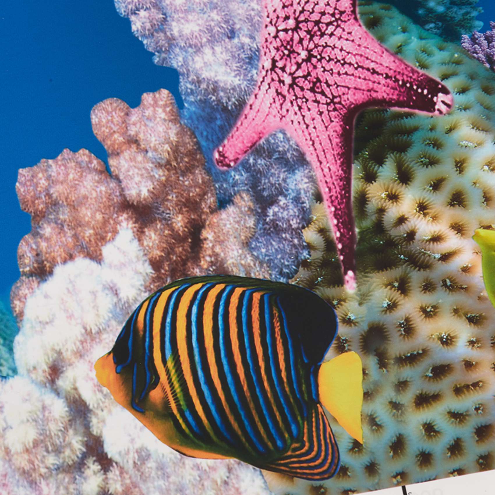 ABWR-水族館背景紙 HD画像 7D立体水槽壁紙背景画 両 - Aquarium Fish Wallpaper のレビューと価格