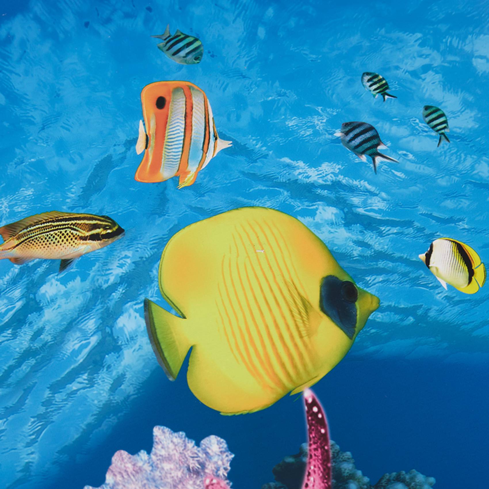 ABWR-水族館背景紙 HD画像 7D立体水槽壁紙背景画 両 - Aquarium Fish Wallpaper のレビューと価格