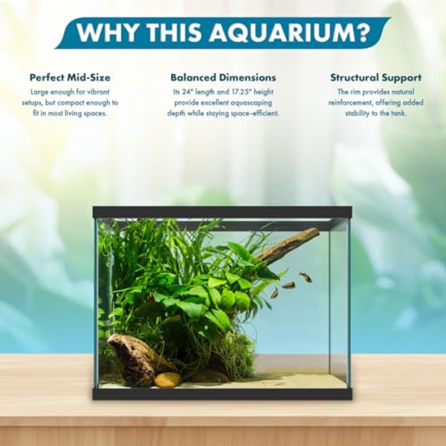 20ガロンガラス水槽 - 24 x 12.5 x 17.25 - Aquarium Fish Big のレビューと価格