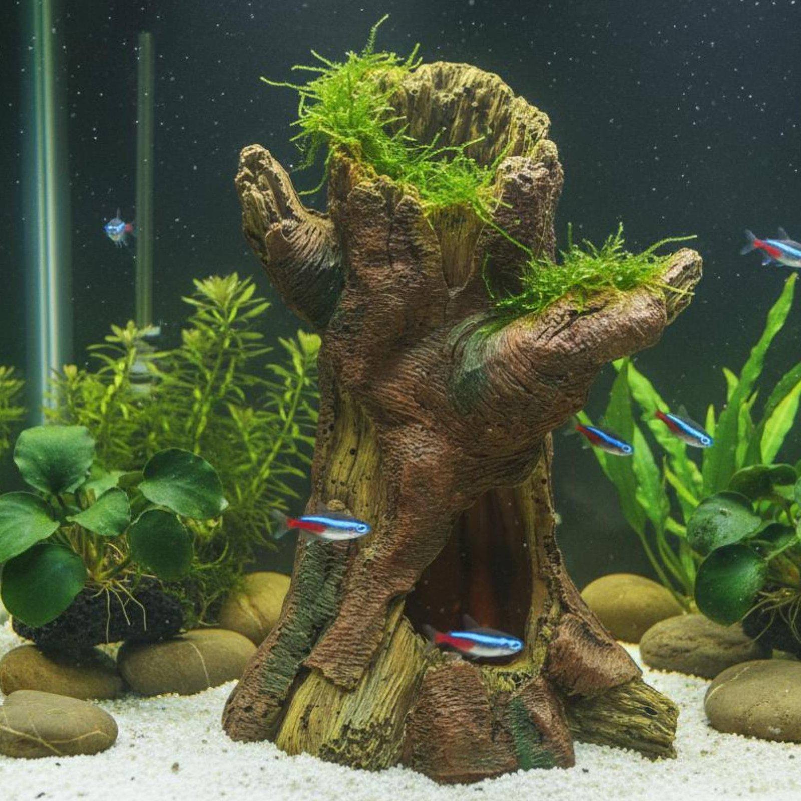 水槽の景観装飾、水槽デコレーション、樹脂製の木の幹のシェルタ - Aquarium Fishes のレビューと価格