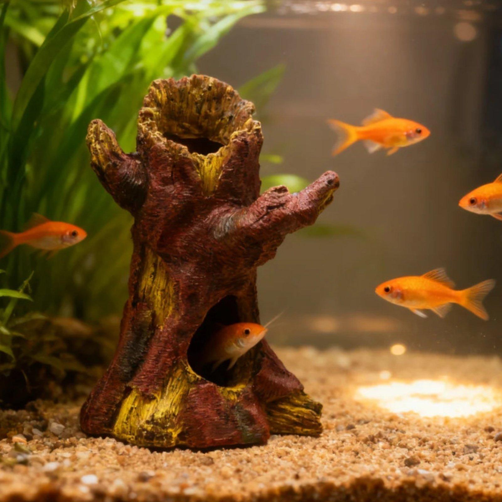 水槽の景観装飾、水槽デコレーション、樹脂製の木の幹のシェルタ - Aquarium Fishes のレビューと価格