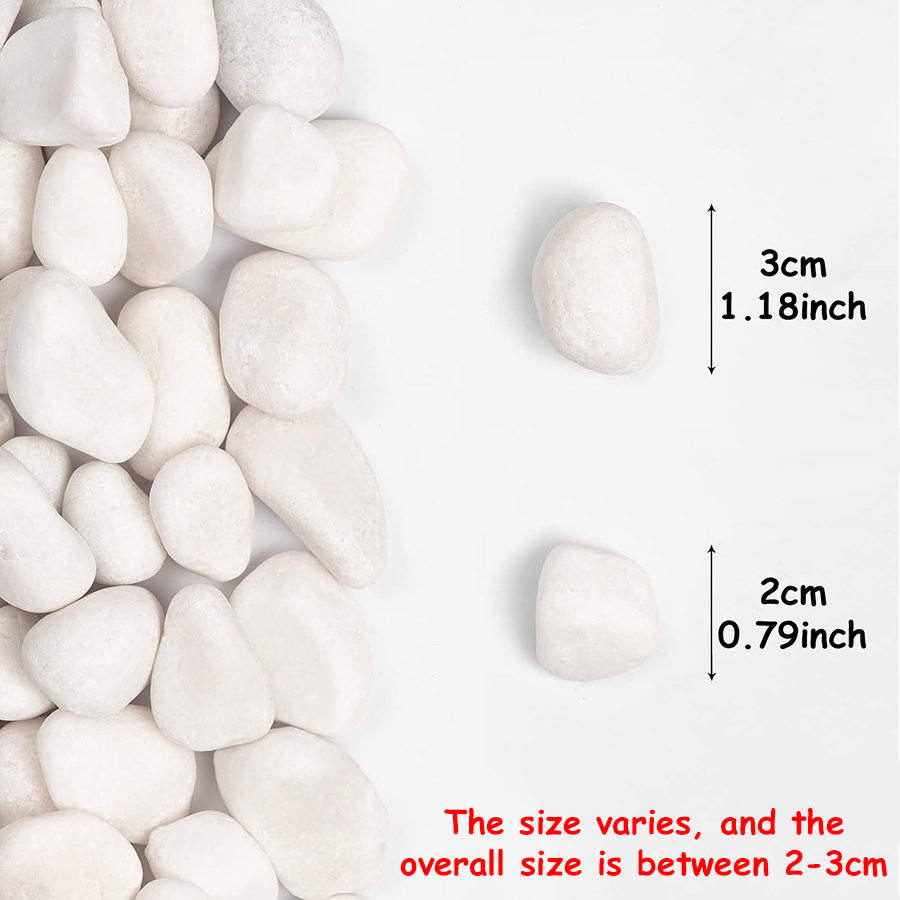 200/400g ホワイト高研磨天然玉石 2-3cm 中庭景 - Aquarium Fish Guppy のレビューと価格