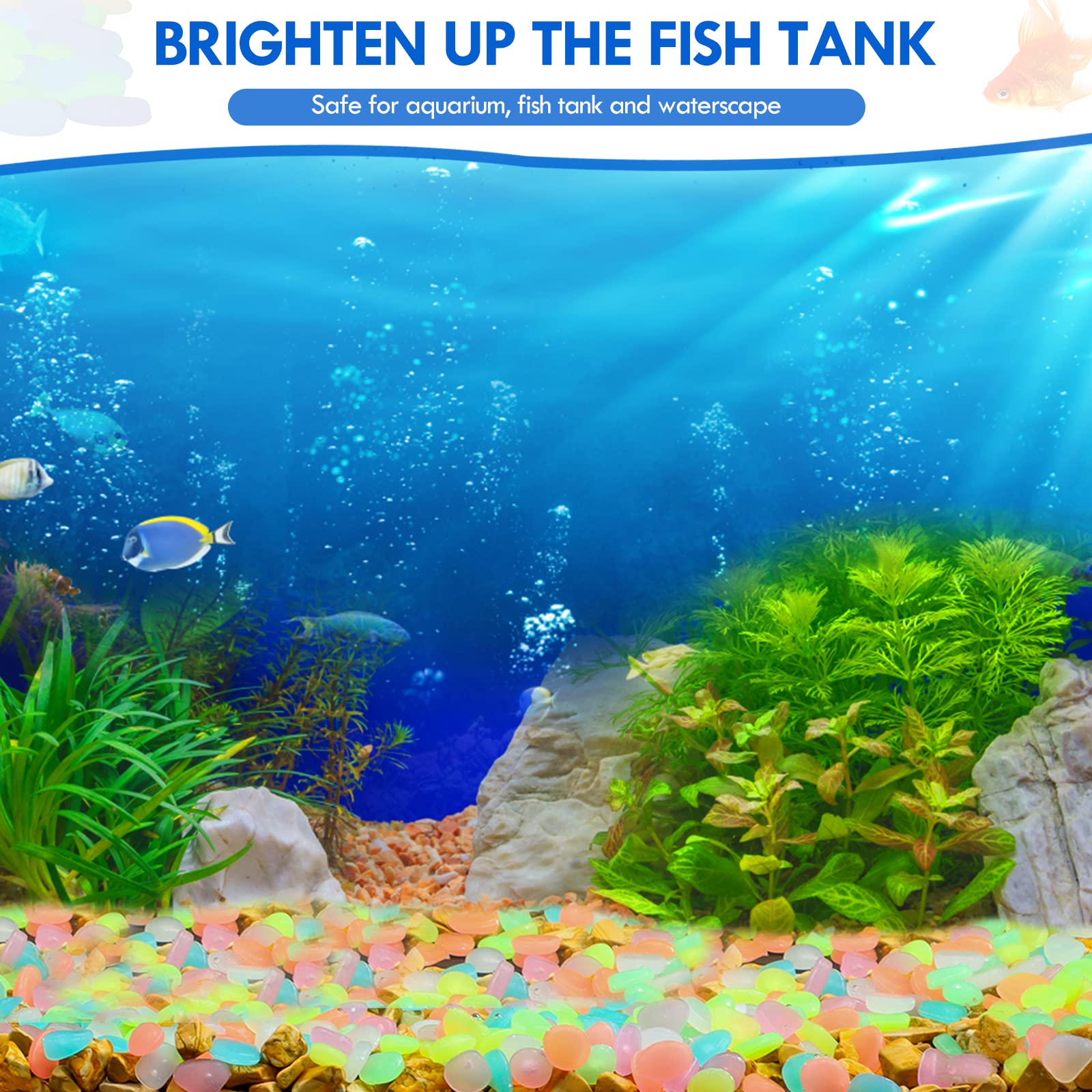 100 個暗闇で光る庭の小石歩道ガーデンテラス芝生庭パティオ - Aquarium Fish Guppy のレビューと価格
