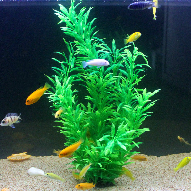 人工水槽50cm,珍しい植物,水族館,偽の竹の葉,水草,プラ - Aquarium Fish Guppy のレビューと価格