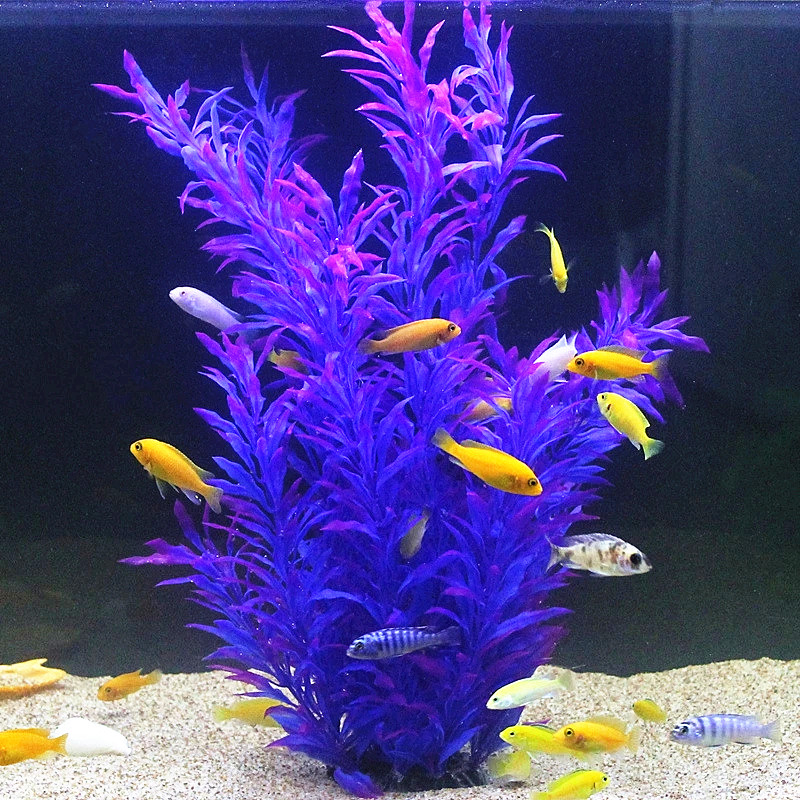 人工水槽50cm,珍しい植物,水族館,偽の竹の葉,水草,プラ - Aquarium Fish Guppy のレビューと価格